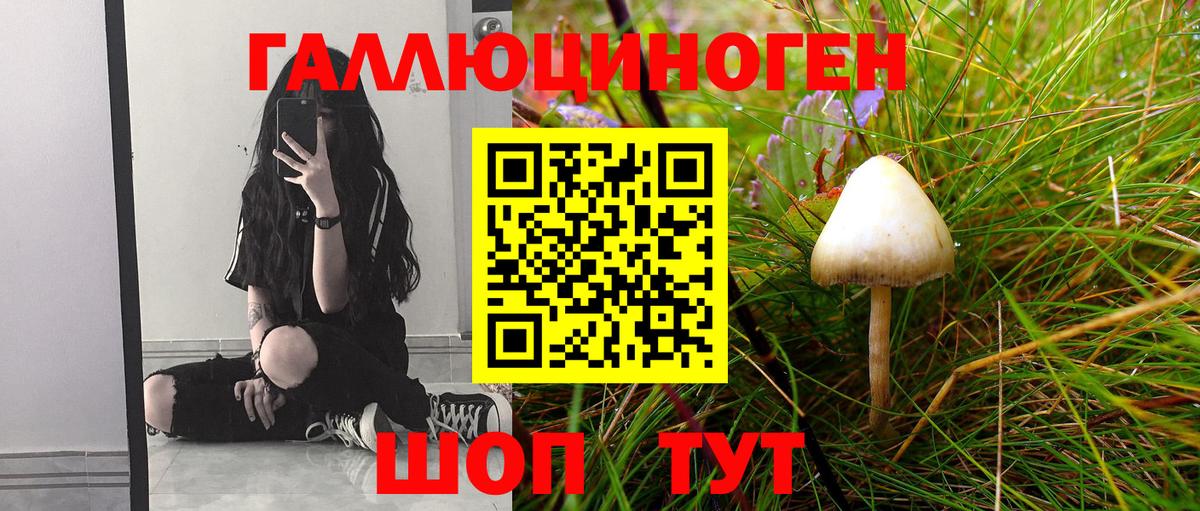 где купить наркоту  Вход с VPN  Мурманск  Псилоцибиновые грибы Cubensis 